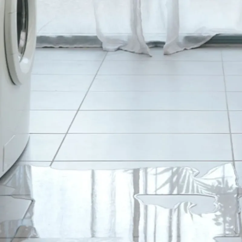 Appliance Leak Cleanup in Rancho Viejo, TX